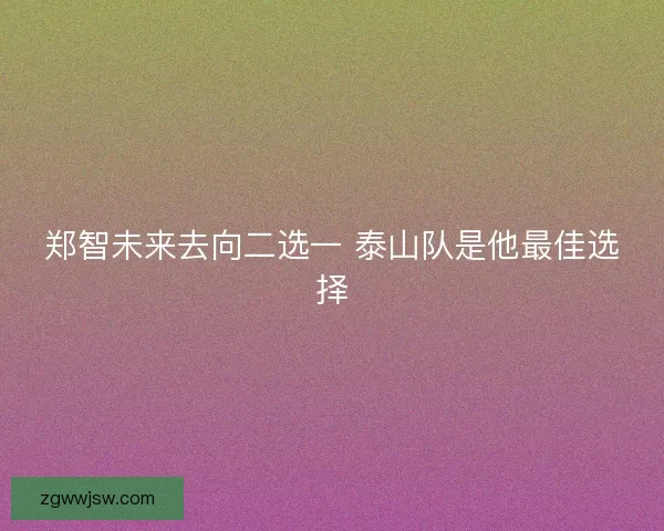 郑智未来去向二选一 泰山队是他最佳选择