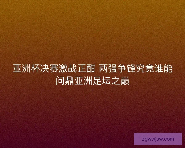 亚洲杯决赛激战正酣 两强争锋究竟谁能问鼎亚洲足坛之巅