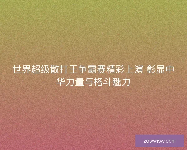 世界超级散打王争霸赛精彩上演 彰显中华力量与格斗魅力